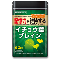 イチョウ葉ブレイン